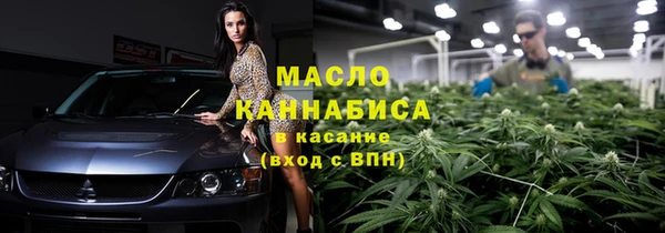 молекула духа Волоколамск