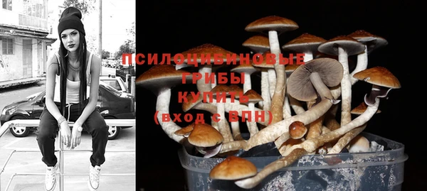 скорость Верхний Тагил