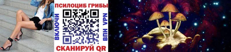 Псилоцибиновые грибы мухоморы  сколько стоит  Верхняя Салда 