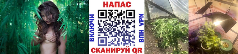 KRAKEN   Верхняя Салда  Бошки Шишки Bruce Banner  где можно купить  